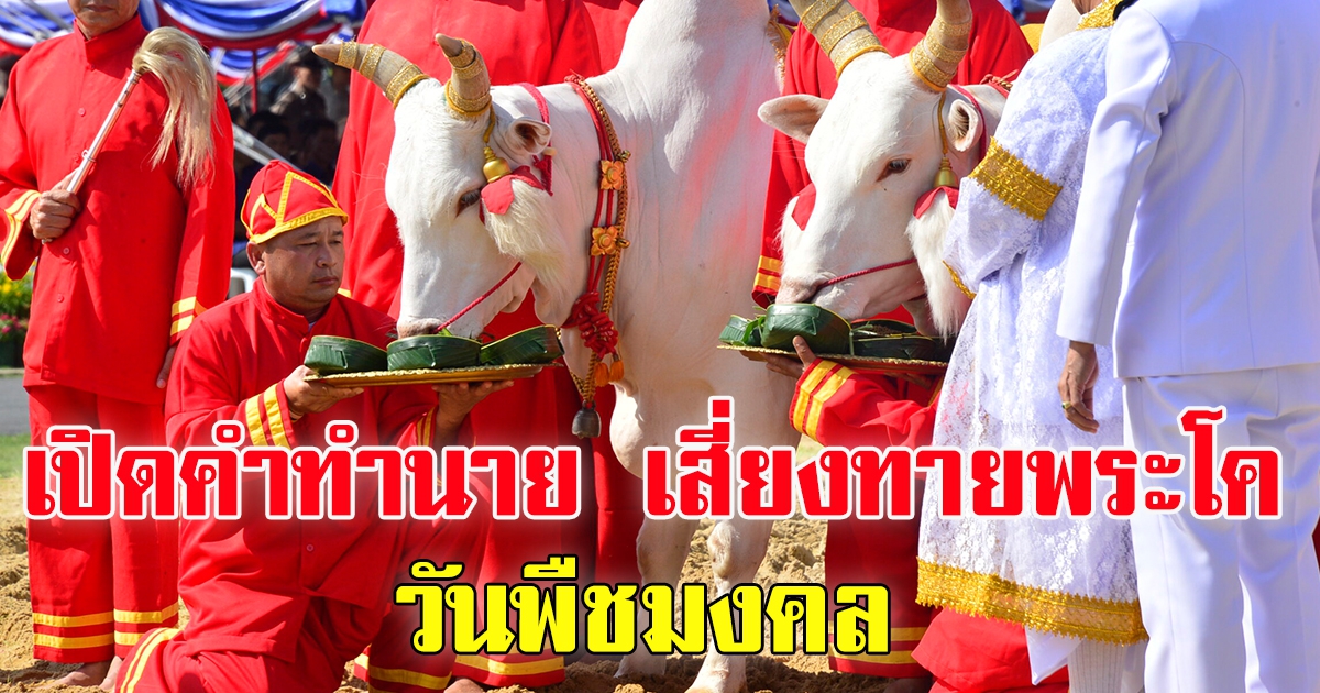 เผยคำทำนาย วันพืชมงคล 65