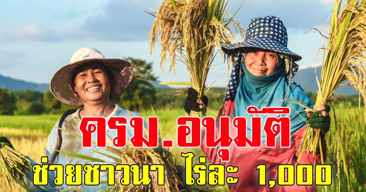 ครม.อนุมัติเงินช่วยชาวนา ไร่ละ 1,000