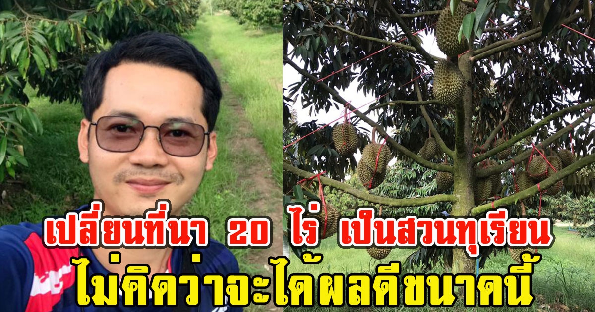 หนุ่มเปลี่ยนที่นา 20 ไร่ เป็นสวนทุเรียน