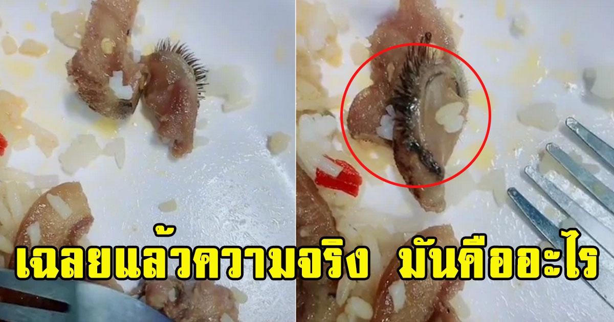 เฉลยแล้ว ของปริศนาคล้ายขนตา ในผัดพริกแกงหูหมูคืออะไร เป็นไปตามคาด