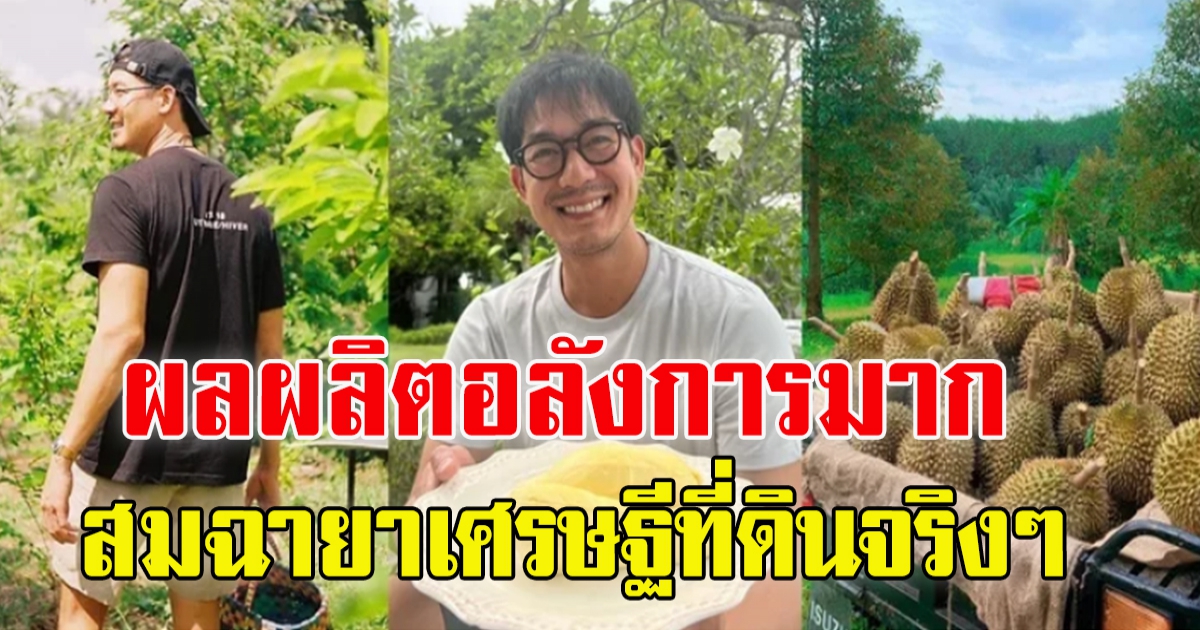 สวนทุเรียนของ เวียร์ ศุกลวัฒน์