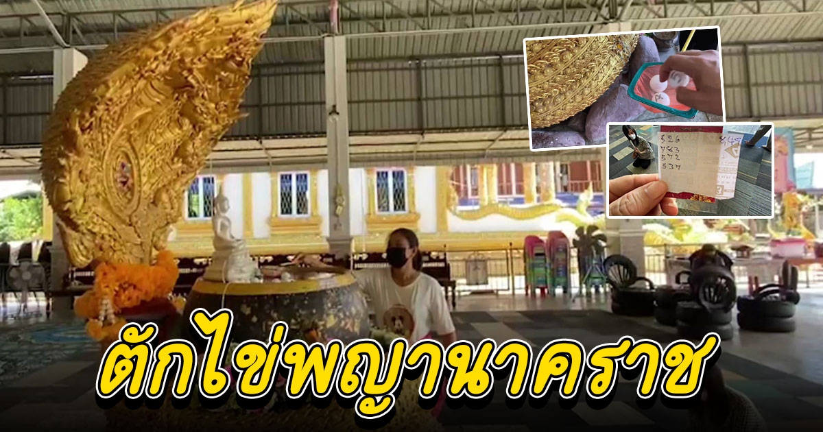 คอเลขแห่ ขอโชคตักไข่พญานาคราช ได้เลข 3 ตัว