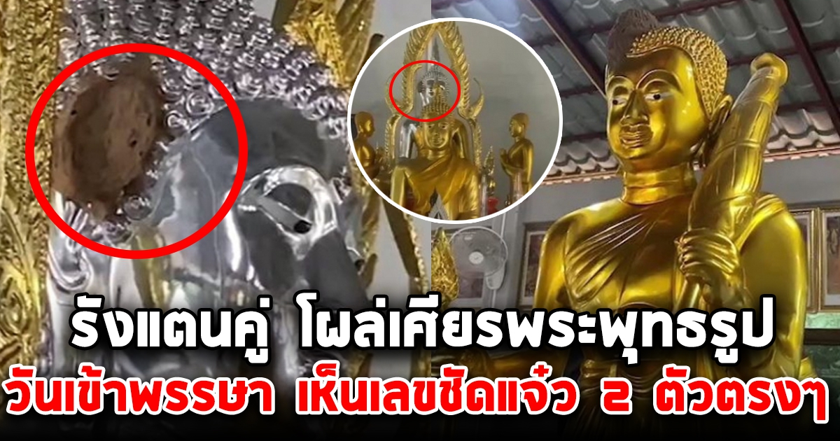 รังแตนคู่ โผล่เศียรพระพุทธรูป 2 องค์ รับเข้าพรรษา เห็นเลข 2 ตัวชัดแจ๋ว