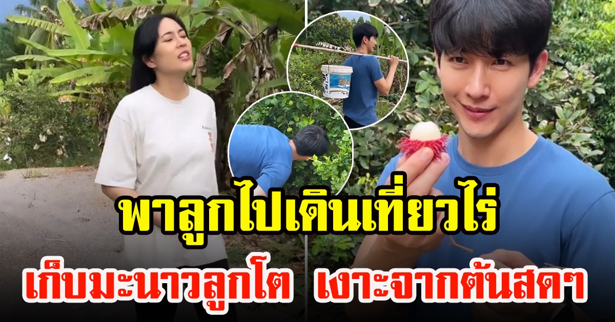 พุฒกับจุ๋ย พาลูกไปไร่ เก็บมะนาวลูกโต และเงาะจากต้นมากินสดๆ