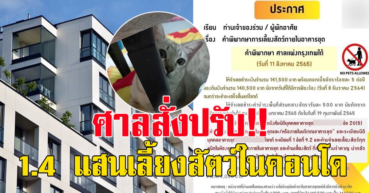 อวสานคนรักสัตว์ ศาลสั่งปรับ 1.4 แสน แอบเลี้ยงสัตว์ในคอนโด