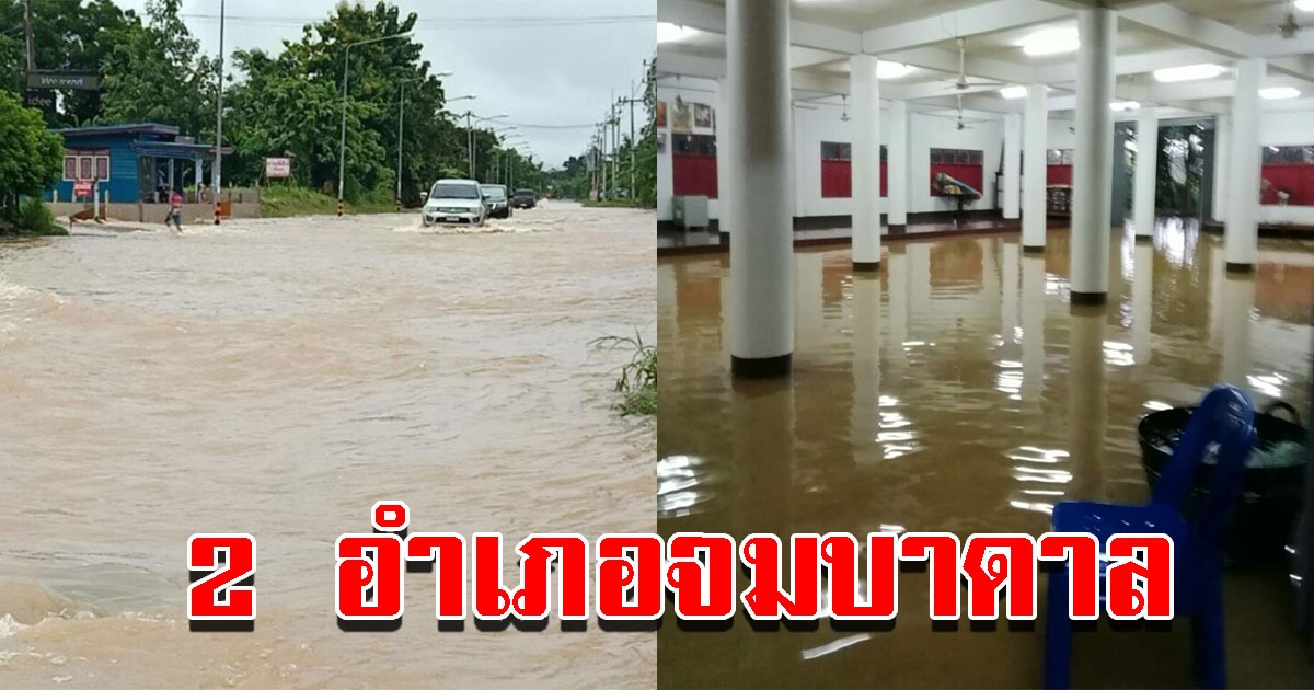 ฝนตกหนัก 2 อำเภอจมบาดาล นา-พืชสวนเสียหาย 700 ไร่