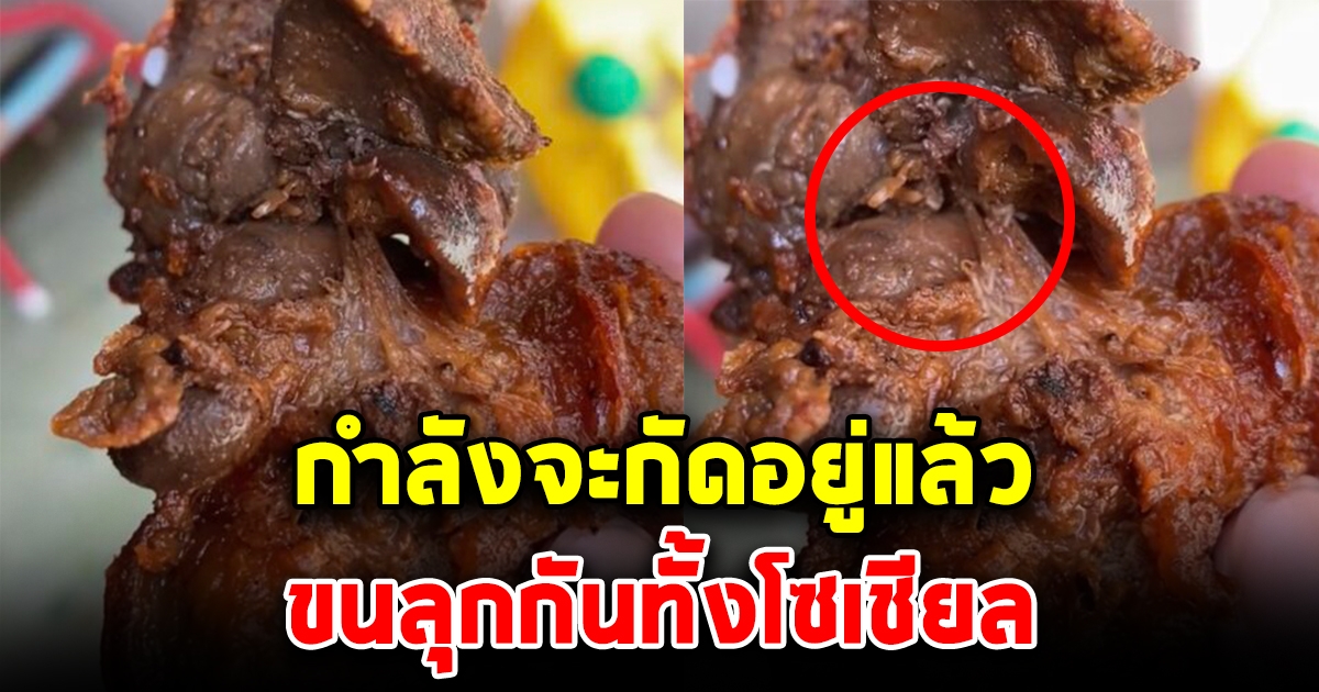 กำลังจะกัดอยู่แล้ว สาวซื้อเครื่องในไก่ทอด ร้านประจำ เจอดีกับตัว