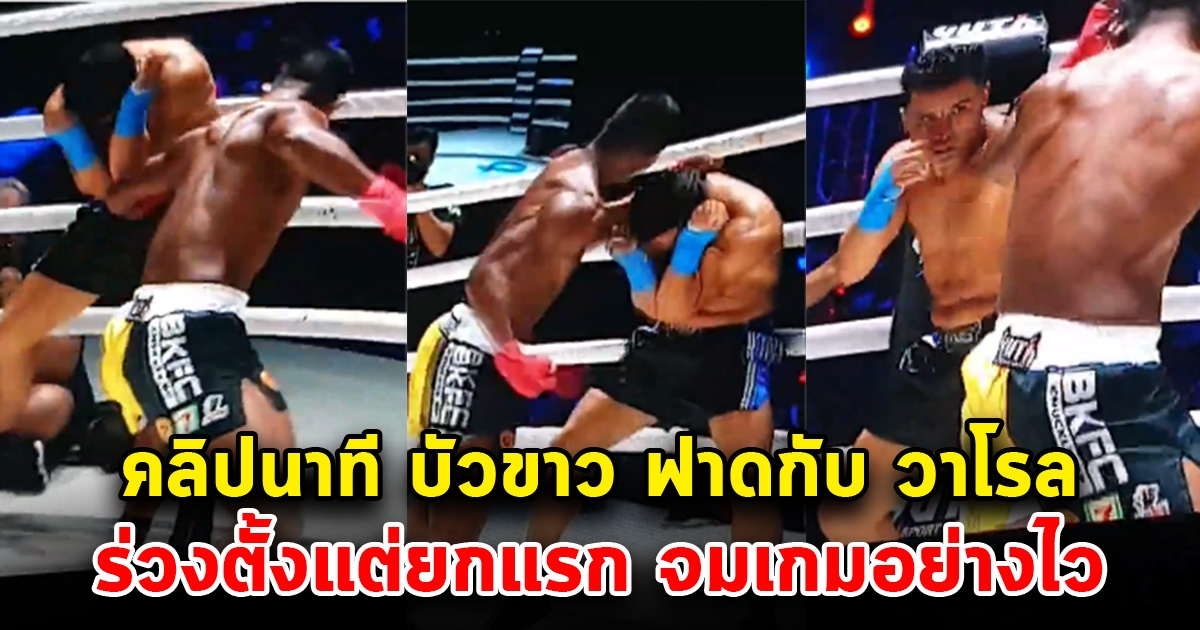 คลิปนาที บัวขาว เจอกับ วาโรล ร่วงตั้งแต่ยกแรก