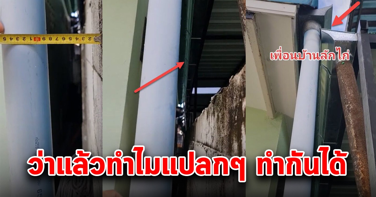 เจ้าของบ้านเอะใจ ข้างบ้านแปลกๆ รีบเดินไปดู สุดท้ายได้เห็นความจริง