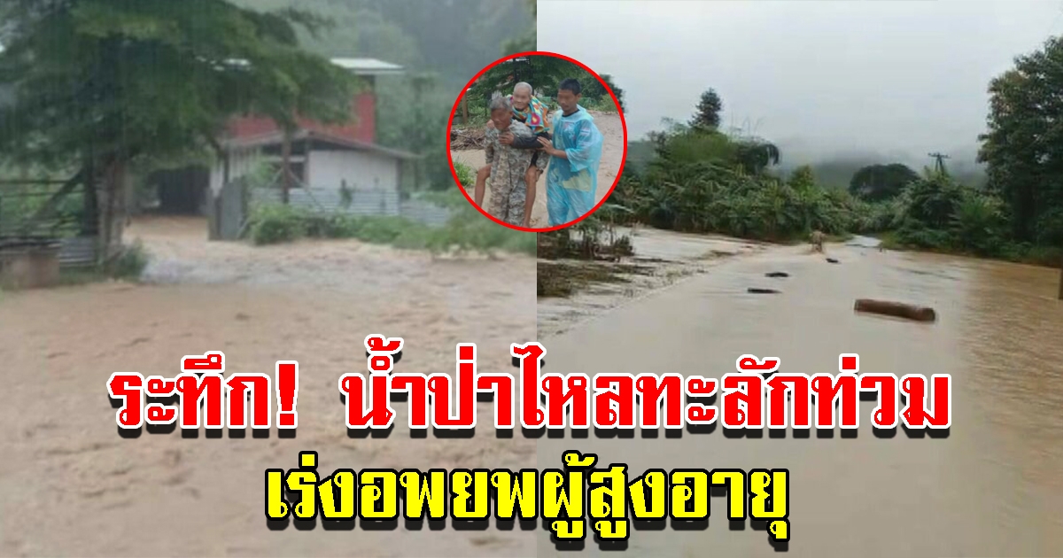 ฝนถล่มหนัก น้ำป่าไหลท่วมทำถนนขาด เร่งอพยพผู้สูงอายุ