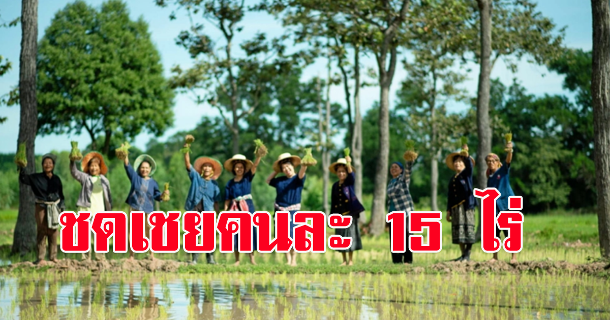 เคาะงบกลาง 1.7 พันล้านชดเชยเกษตรกรผู้ผลิตข้าว