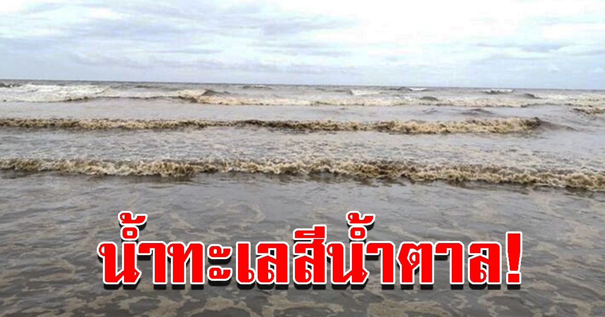 พบน้ำทะเลหาดแม่รำพึง เปลี่ยนเป็นสีน้ำตาล