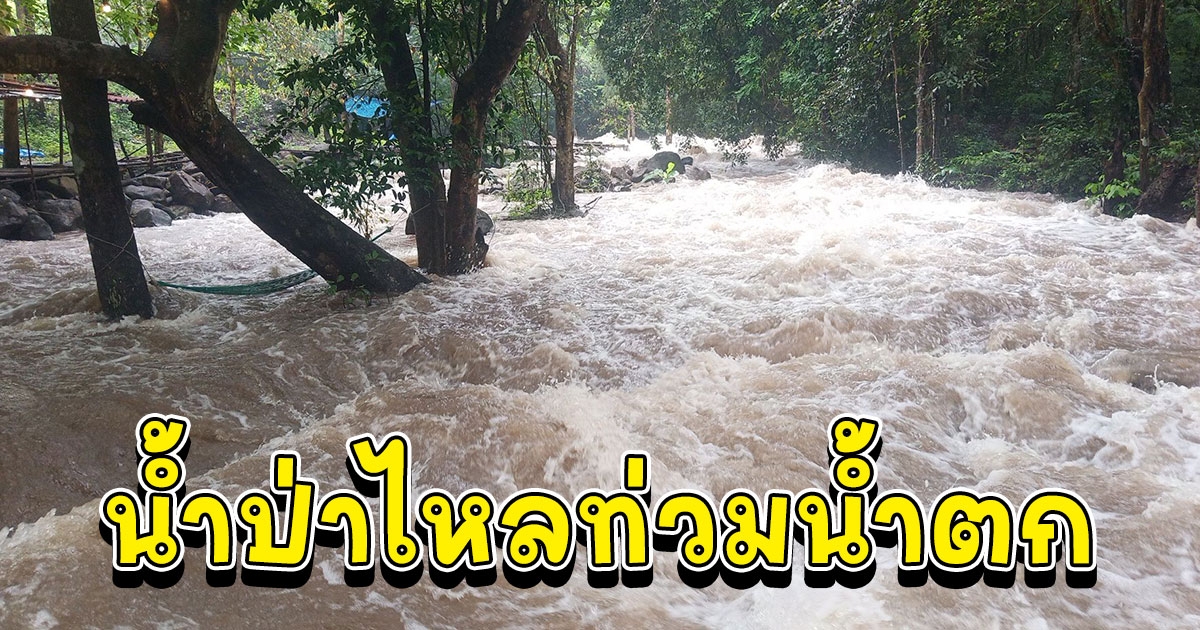 น้ำป่าอุทยานฯเขาใหญ่ไหลเข้าท่วมน้ำตกธารทิพย์ อย่างรวดเร็ว หลังฝนตกต่อเนื่อง 3 ชั่วโมง