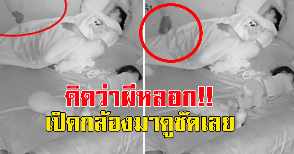 สาวโพสต์ มือปริศนา ดึงผ้าห่มกลางดึก