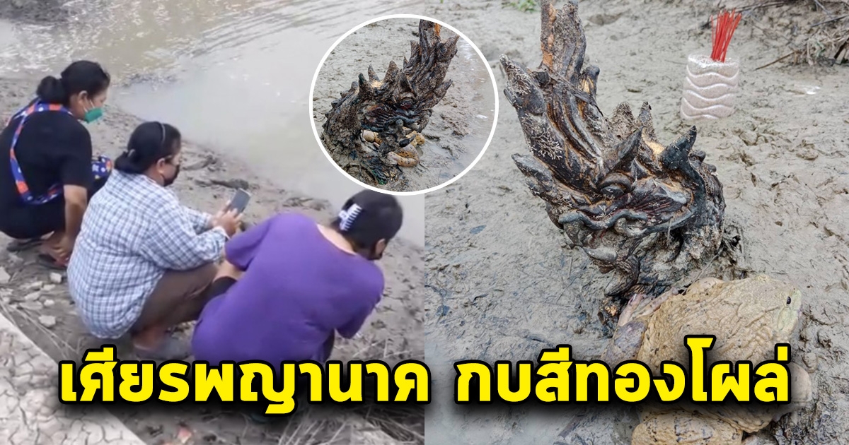 เศียรพญานาค โผล่วัดหลวงปู่ทิม มีกบยักษ์สีทองอยู่ข้างๆ