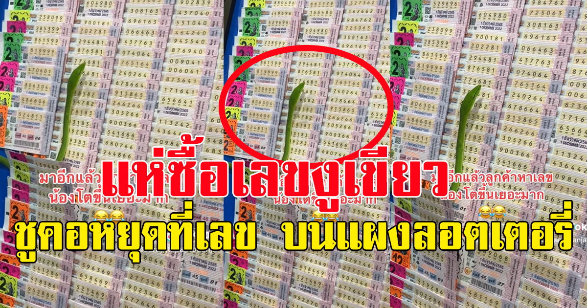 เลข วันที่ 1 ธันวาคม 65