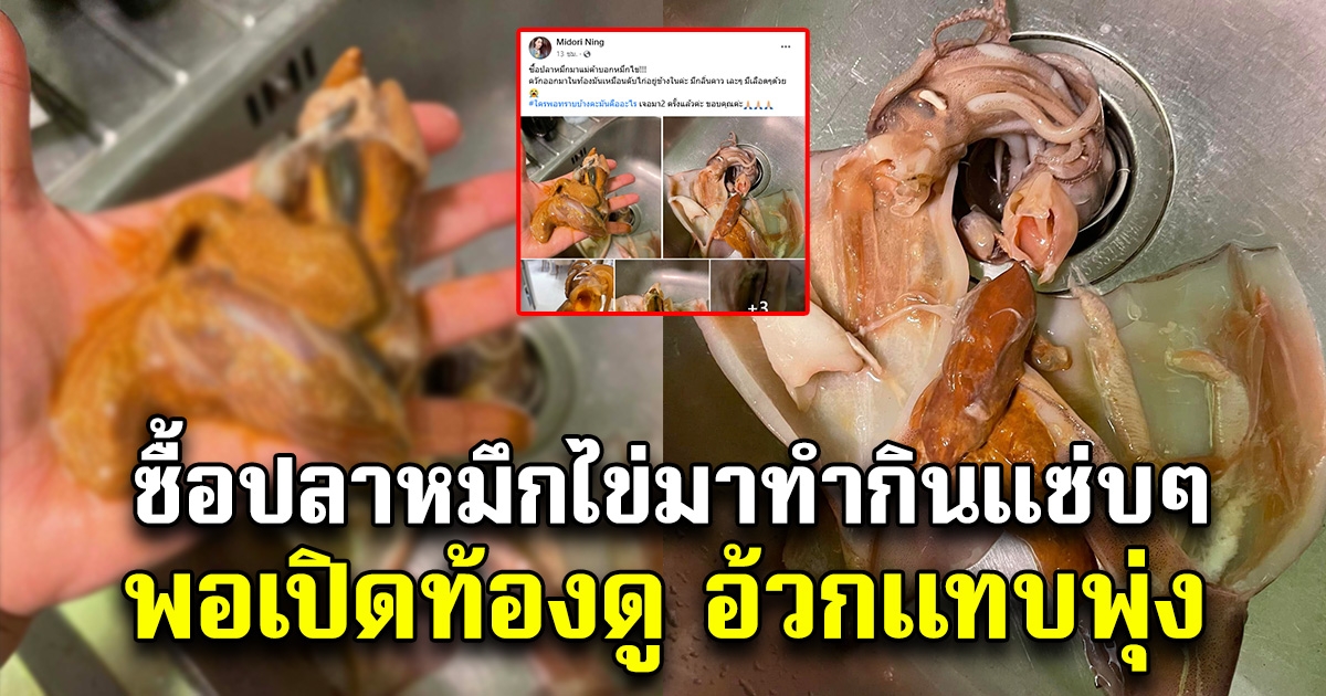 สาวหวังซื้อปลาหมึกไข่ มาทำกินแซ่บๆ พอเปิดออกมาดู รีบโพสต์ถามทันที