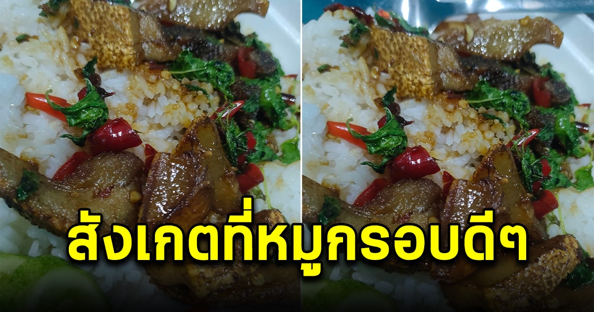 หนุ่มสั่งข้าวกระเพราะหมูกรอบมากิน แต่พอของมาถึง สังเกตที่หมูกรอบให้ดีๆ