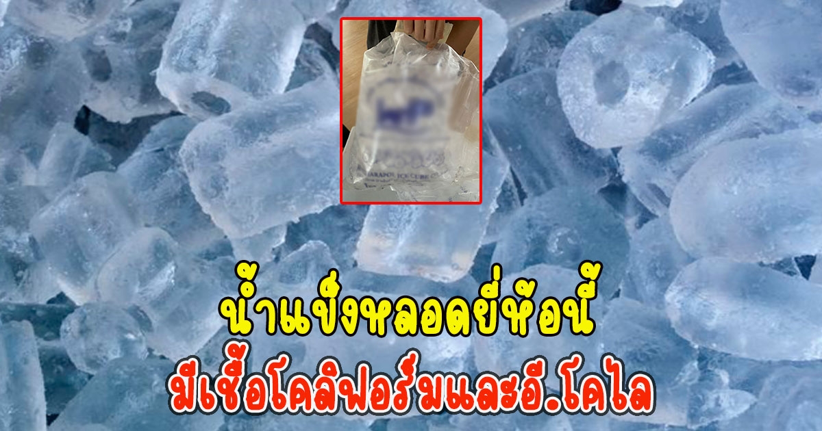 เช็กด่วน อย.ตรวจพบน้ำแข็งหลอดยี่ห้อนี้ มีเชื้อโคลิฟอร์มและอี.โคไล