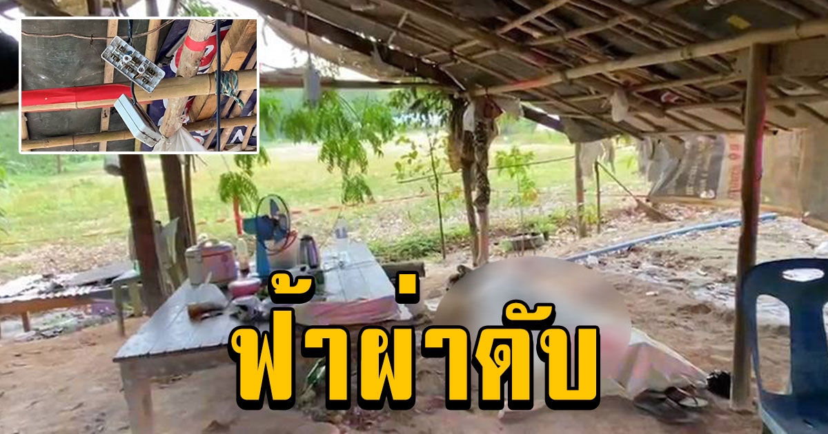 ชาวบ้าน 4 คนนั่งเล่นใต้ต้นไม้ในวัด ก่อนฟ้าผ่าเปรี้ยง เจ็บ 3 ดับ 1