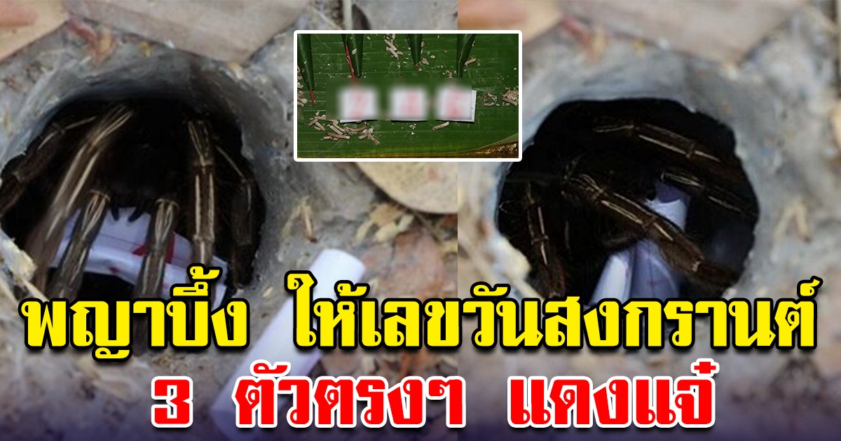 เลขพญาบึ้ง ออกมาให้เลข 3 ตัวตรงๆ รับสงกรานต์