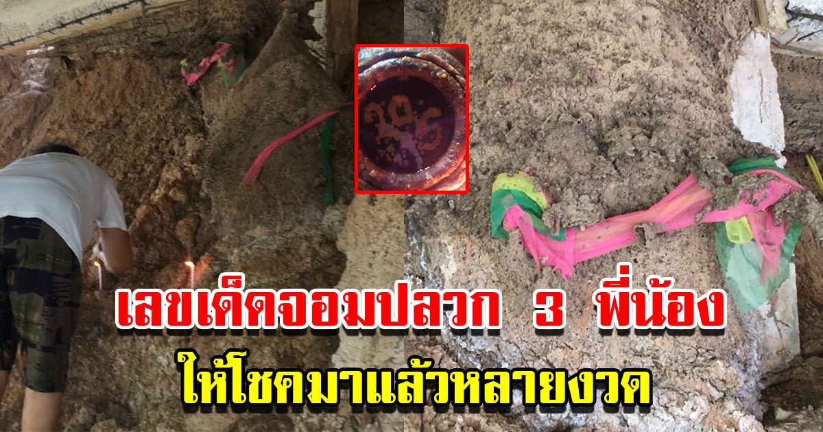 ชาวบ้านทำพิธีขอหวย จอมปลวกหมูสี 3 พี่น้อง เคยให้โชคมาแล้วหลายงวด