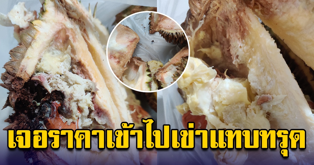 สาวแวะซื้อทุเรียนจากข้างทางไปกิน พอกลับมาถึงบ้าน โกรธสุดขีด โซเชียลพูดเป็นเสียงเดียวกัน