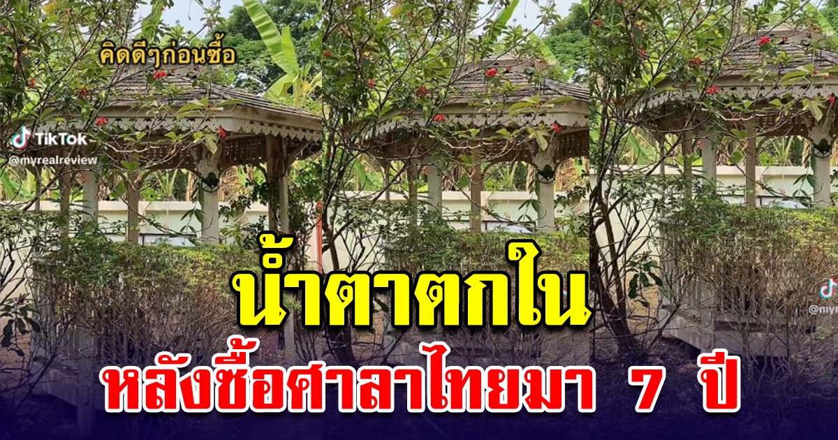 หนุ่มซื้อ ศาลาไทย มา 7 ปี สุดท้ายน้ำตาตกใน ลั่นคิดให้ดีๆ