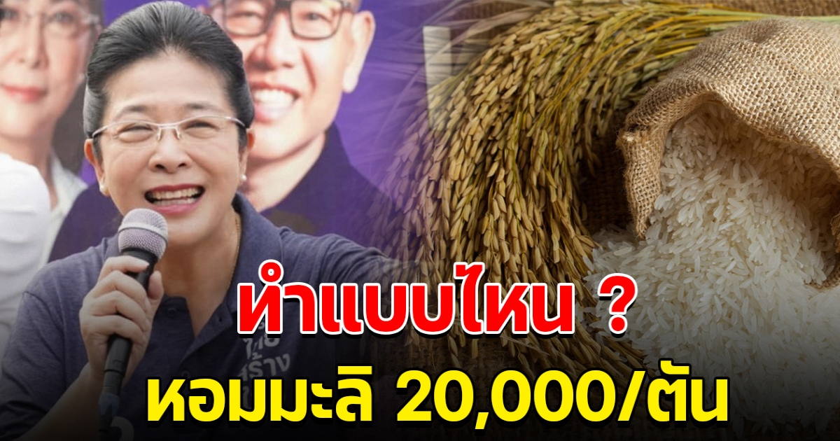 ชาวนาเฮ หญิงหน่อย ชูนโยบาย แนวคิดข้าวหอมมะลิ 20,000/ตัน