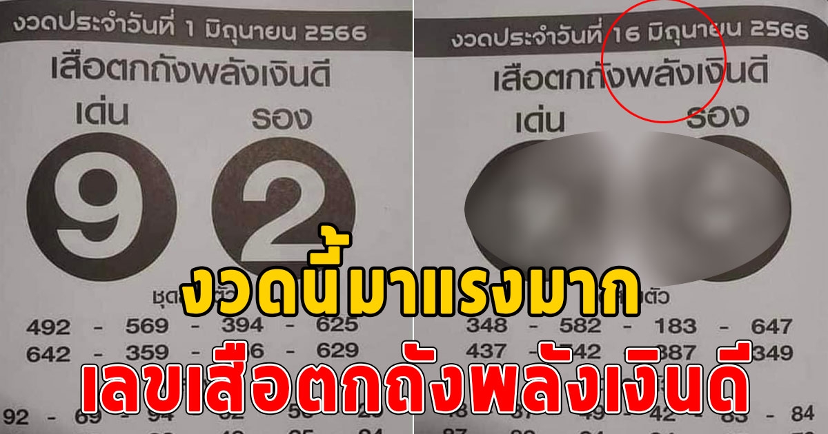 พลาดแล้วจะเสียดาย เลขเสือตกถังพลังเงินดี งวด 16 มิถุนายน 2566