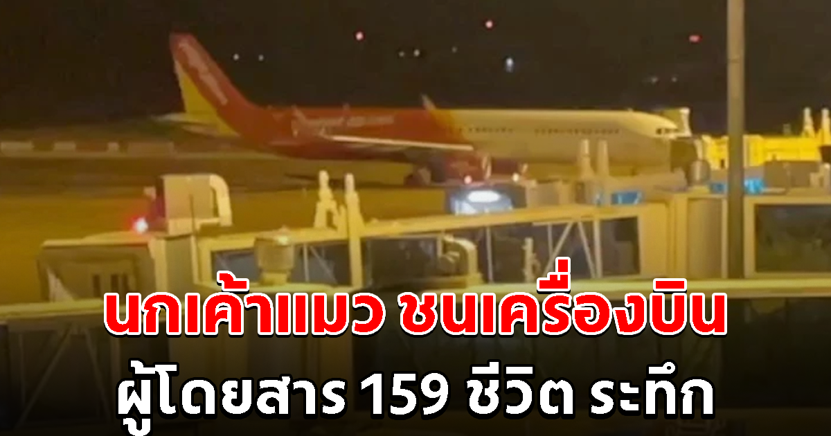 ระทึก นกเค้าแมว บินชนเครื่องบิน ผู้โดยสาร 159 ชีวิตผวา