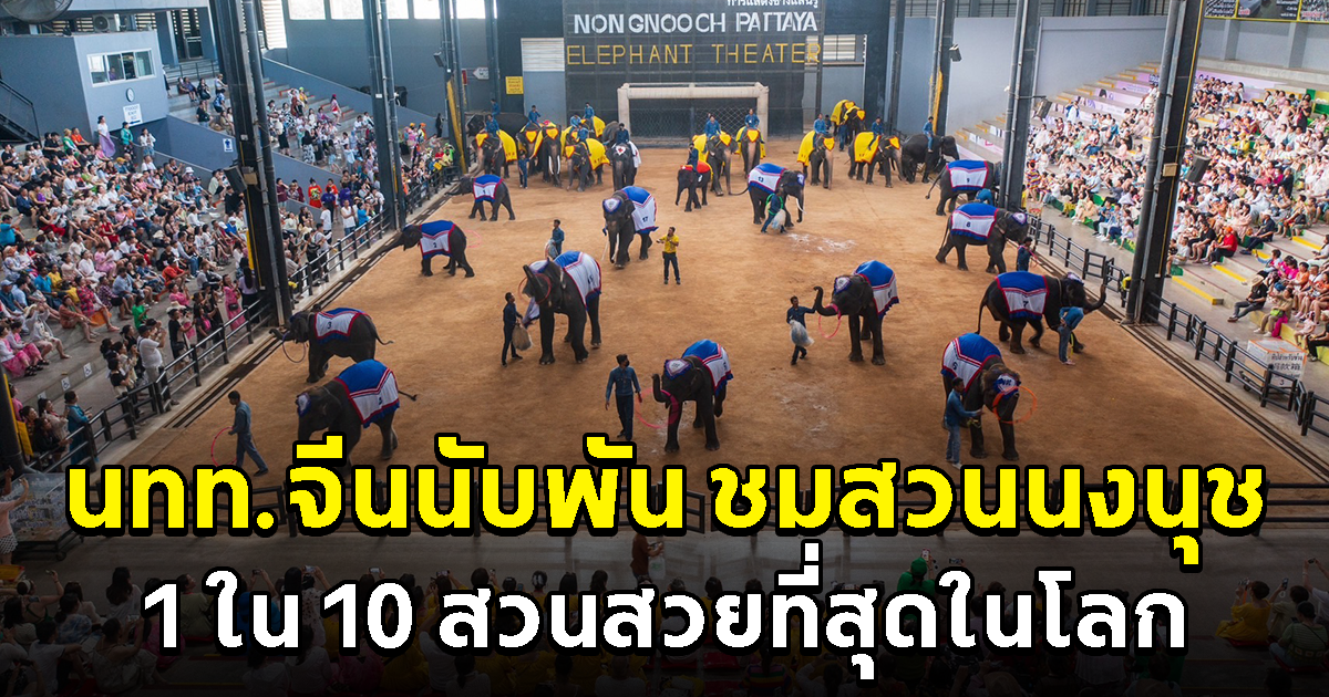 นทท.จีน 1,400 คน ชื่นชมสวนนงนุชพัทยา 1 ใน 10 สวนสวยที่สุดในโลก