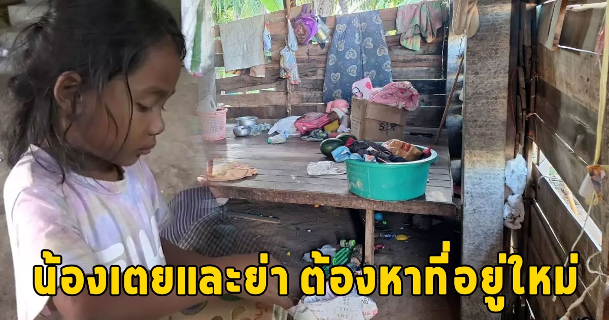 อัปเดตล่าสุด เตรียมหาที่อยู่ใหม่ ให้น้องเตยและย่า