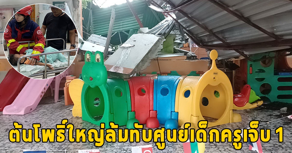 พายุฝนตกหนัก ต้นโพธิ์ใหญ่ล้มทับศูนย์เด็กครูเจ็บ 1