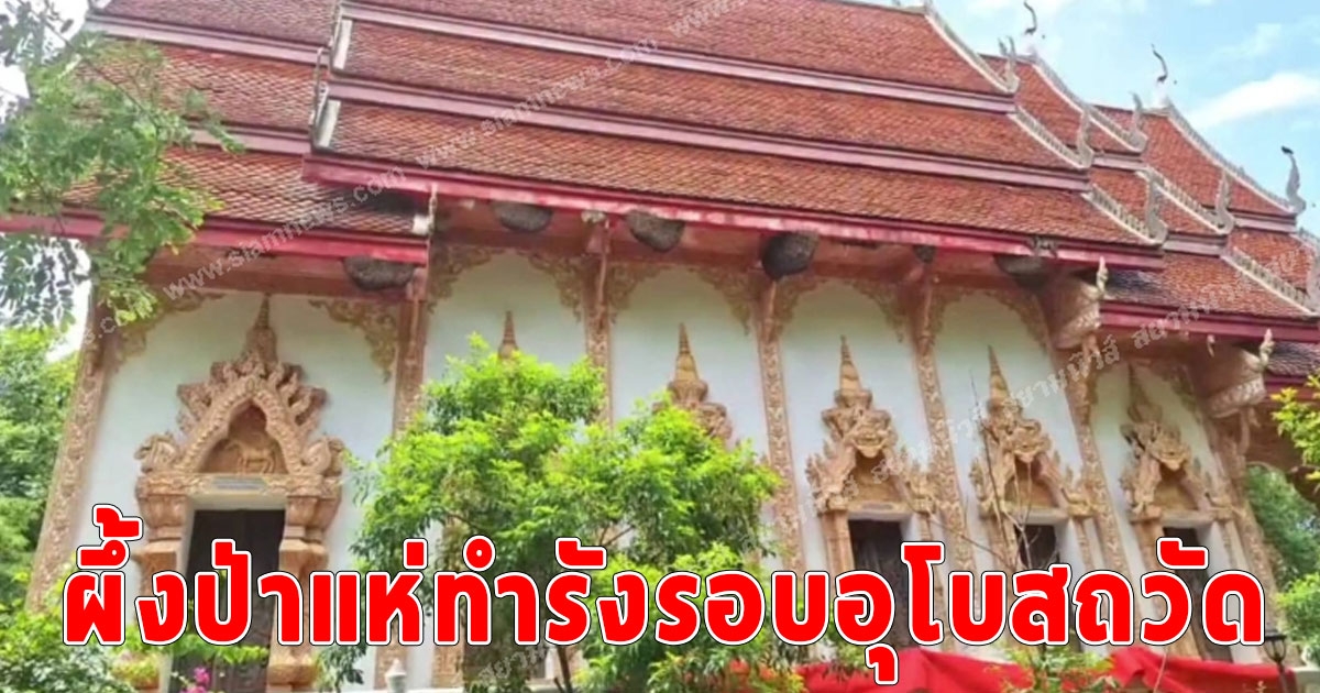 ฮือฮา ผึ้งป่าแห่ทำรังรอบอุโบสถวัดพระธาตุดอยน้อยโบราณ อายุ 1,365 ปี กว่า 20 รังตลอดทั้งปี