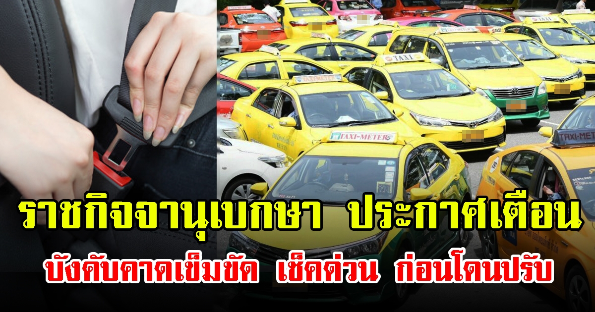 ราชกิจจานุเบกษา ประกาศเตือน บังคับคาดเข็มขัด เช็คด่วน ก่อนโดนปรับ