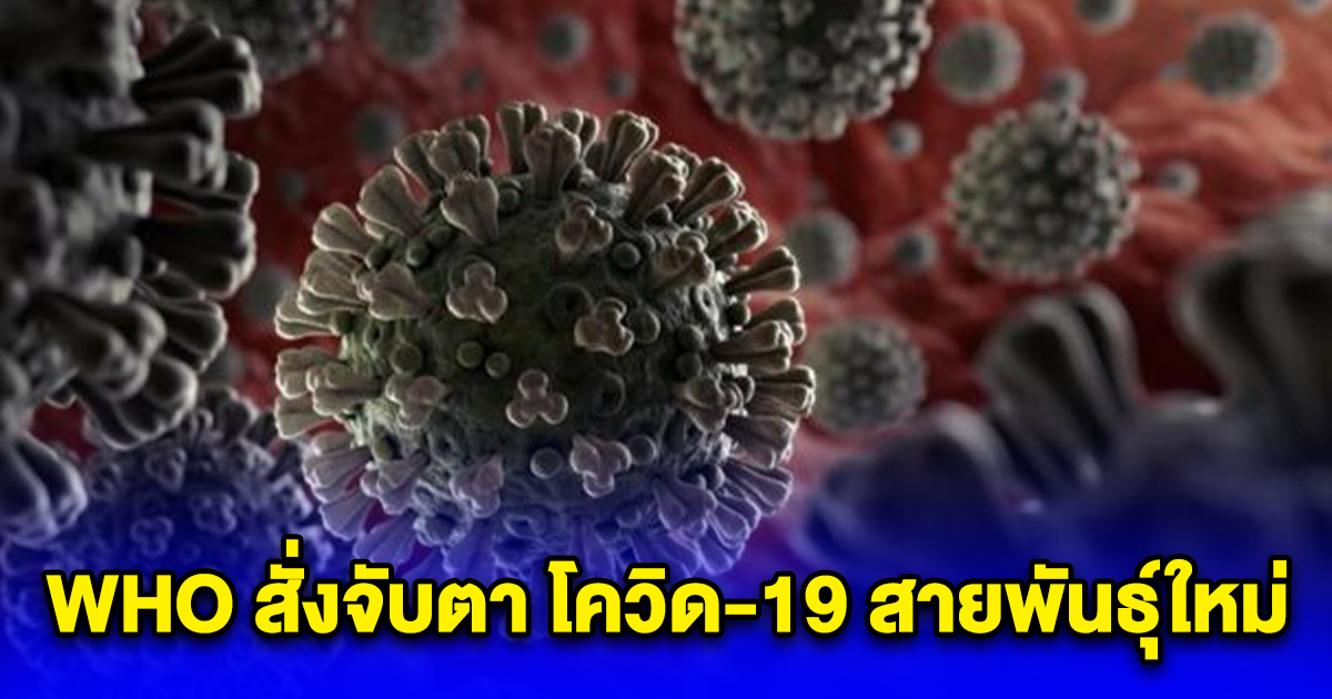 WHO สั่งจับตา โควิด-19 สายพันธุ์ใหม่ EG.5 กำลังระบาดในสหรัฐ ล่าสุดมาเอเชียแล้ว