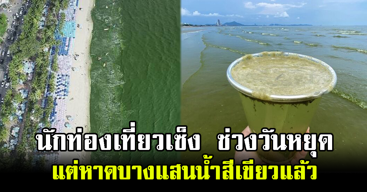 นักท่องเที่ยวเซ็ง ช่วงวันหยุด แต่หาดบางแสนน้ำสีเขียวแล้ว