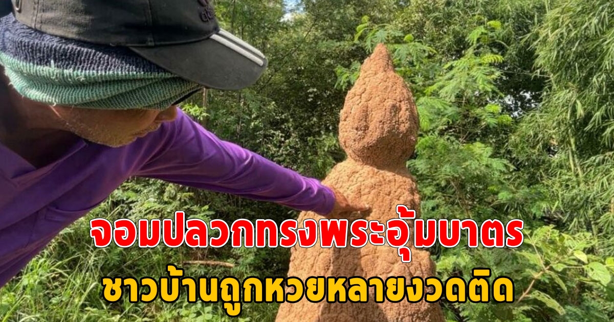 อัศจรรย์ธรรมชาติ จอมปลวกทรงพระอุ้มบาตร ชาวบ้านได้เลขจะจะ ถูกหวยหลายงวดติด