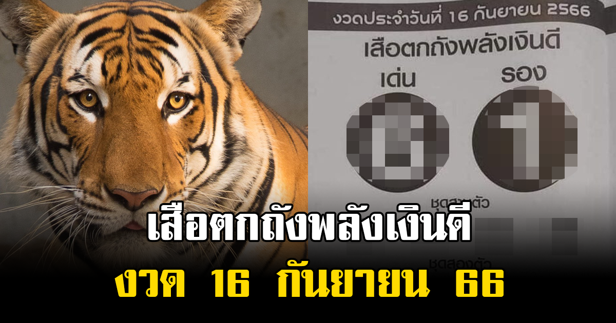 เปิดเลข เสือตกถังพลังเงินดี งวด 16 กันยายน 66