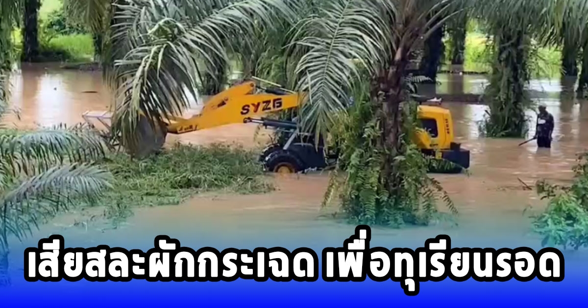 ฝนถล่มน้ำล้นคลองหลากท่วมสวน ดงผักกระเฉดกว่า 1 ตัน ทำต้นทุเรียนเสียหาย