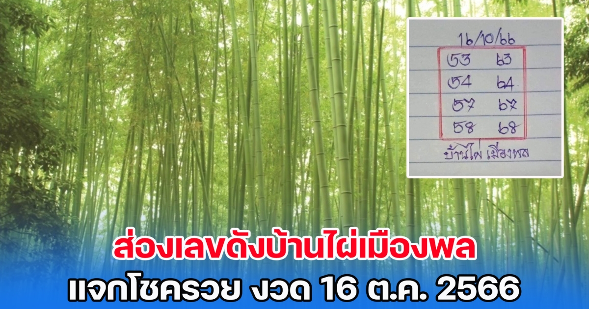 ส่องเลขดังบ้านไผ่เมืองพล แจกโชครวย งวด 16 ต.ค. 2566